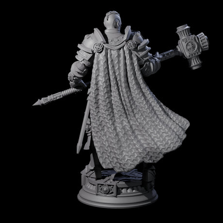 Stormswept Elf Paladin Miniature for Dungeons and Dragons, Pathfinder or other TTRPGs