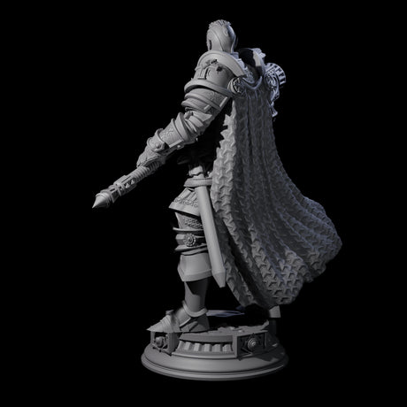 Stormswept Elf Paladin Miniature for Dungeons and Dragons, Pathfinder or other TTRPGs