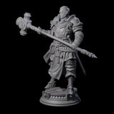 Stormswept Elf Paladin Miniature for Dungeons and Dragons, Pathfinder or other TTRPGs