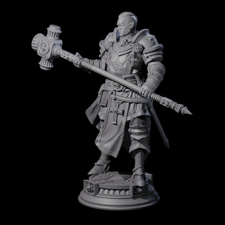Stormswept Elf Paladin Miniature for Dungeons and Dragons, Pathfinder or other TTRPGs