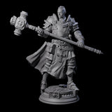 Stormswept Elf Paladin Miniature for Dungeons and Dragons, Pathfinder or other TTRPGs