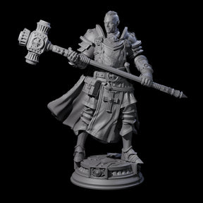 Stormswept Elf Paladin Miniature for Dungeons and Dragons, Pathfinder or other TTRPGs