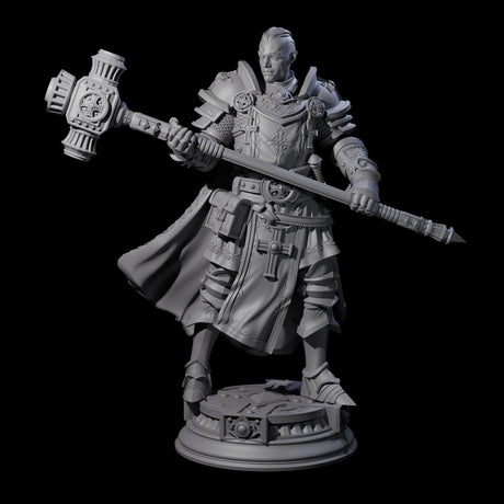 Stormswept Elf Paladin Miniature for Dungeons and Dragons, Pathfinder or other TTRPGs