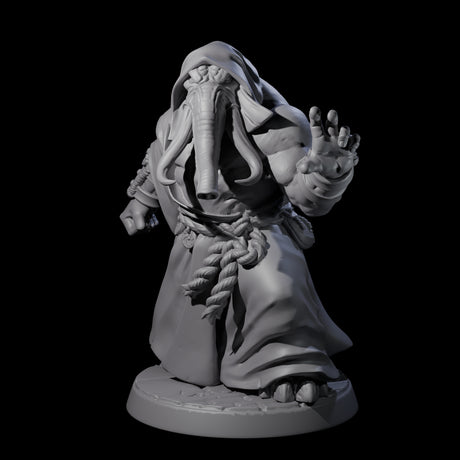 Striking Loxodon Monk A Miniature for Dungeons and Dragons, Pathfinder or other TTRPGs