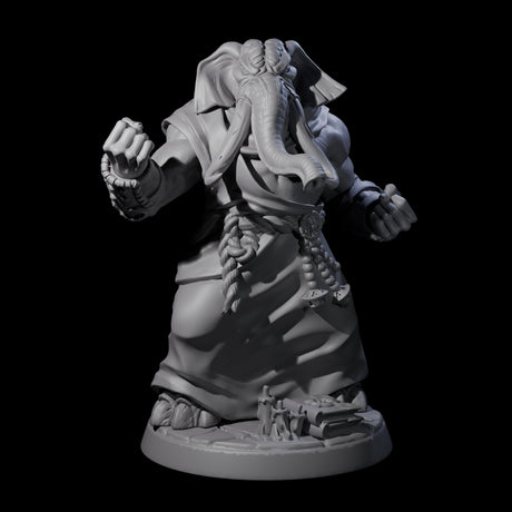 Striking Loxodon Monk B Miniature for Dungeons and Dragons, Pathfinder or other TTRPGs