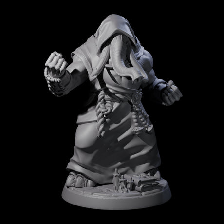 Striking Loxodon Monk B Miniature for Dungeons and Dragons, Pathfinder or other TTRPGs