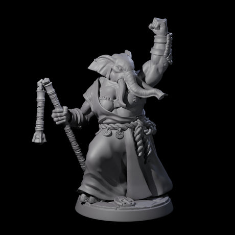 Striking Loxodon Monk C Miniature for Dungeons and Dragons, Pathfinder or other TTRPGs