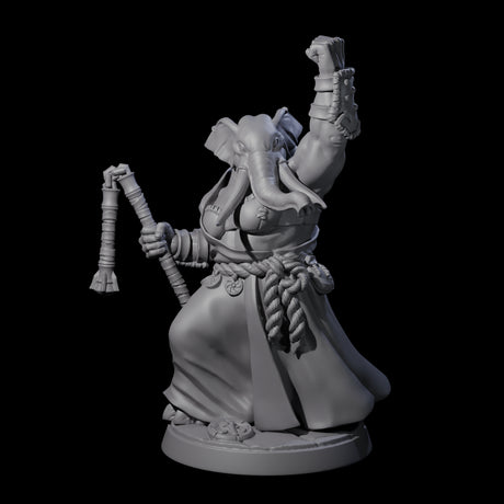 Striking Loxodon Monk C Miniature for Dungeons and Dragons, Pathfinder or other TTRPGs