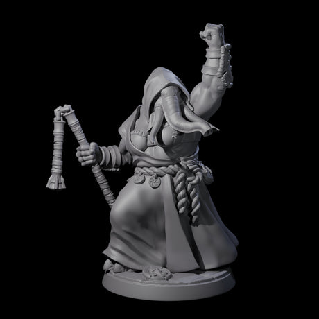Striking Loxodon Monk C Miniature for Dungeons and Dragons, Pathfinder or other TTRPGs
