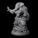 Striking Loxodon Monk D Miniature for Dungeons and Dragons, Pathfinder or other TTRPGs