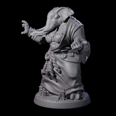 Striking Loxodon Monk D Miniature for Dungeons and Dragons, Pathfinder or other TTRPGs