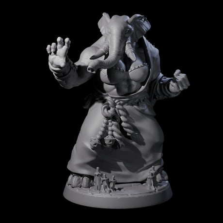 Striking Loxodon Monk D Miniature for Dungeons and Dragons, Pathfinder or other TTRPGs