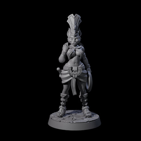 Striking Tabaxi Adventurer Miniature for Dungeons and Dragons, Pathfinder or other TTRPGs