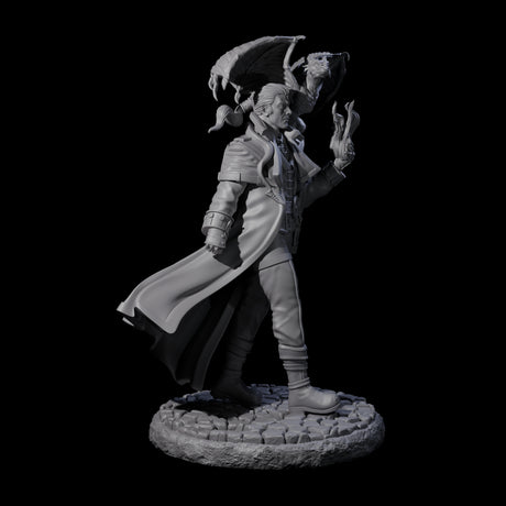 Strolling Wizard with Dragonkin Pet Miniature for Dungeons and Dragons, Pathfinder or other TTRPGs