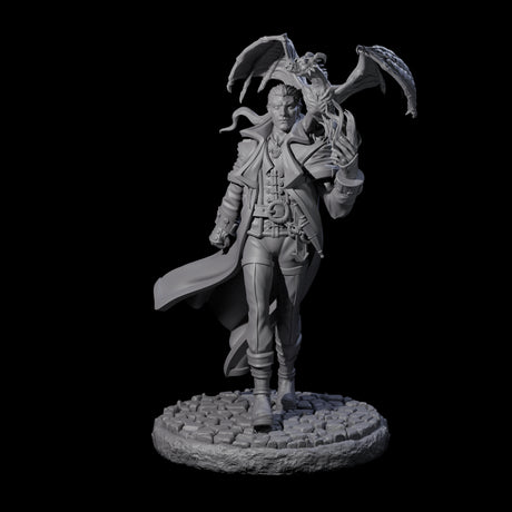 Strolling Wizard with Dragonkin Pet Miniature for Dungeons and Dragons, Pathfinder or other TTRPGs