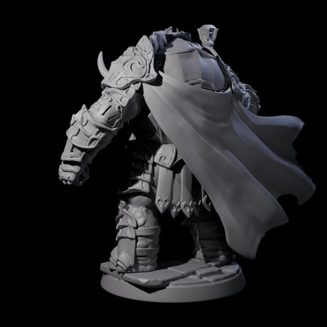 Strong Loxodon Champion Miniature for Dungeons and Dragons, Pathfinder or other TTRPGs