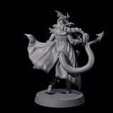 Sweeping Tiefling Swashbuckler Miniature for Dungeons and Dragons, Pathfinder or other TTRPGs
