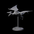 Swooping Pteranodon A Miniature for Dungeons and Dragons, Pathfinder or other TTRPGs