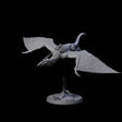 Swooping Pteranodon B Miniature for Dungeons and Dragons, Pathfinder or other TTRPGs