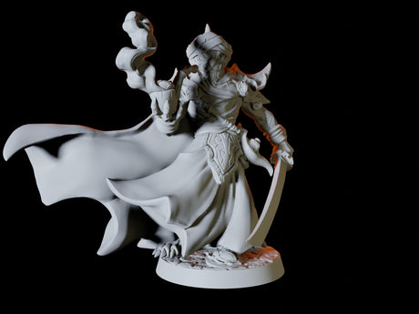 Tabaxi Mercenary Miniature for Dungeons and Dragons, Pathfinder or other TTRPGs