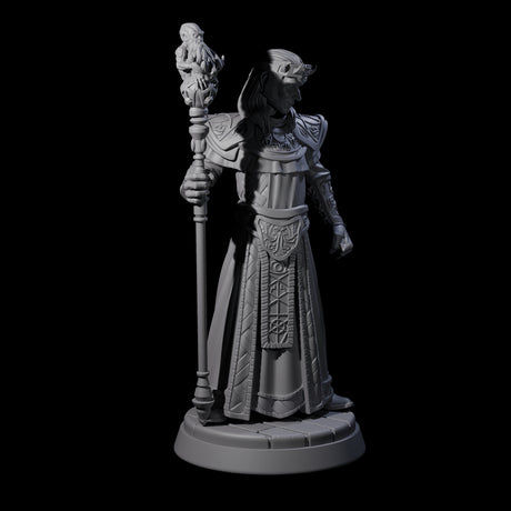 Tense Cultist Leader Miniature for Dungeons and Dragons, Pathfinder or other TTRPGs