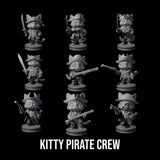 The Cute Pirate Kitty Crew Miniature for Dungeons and Dragons, Pathfinder or other TTRPGs