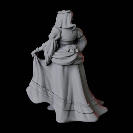 Three Noblewomen Miniature for Dungeons and Dragons, Pathfinder or other TTRPGs