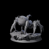 Three Spinning Giant Spiders Miniature for Dungeons and Dragons, Pathfinder or other TTRPGs