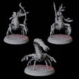 Three Warring Tlincallis Miniature for Dungeons and Dragons, Pathfinder or other TTRPGs