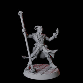 Tiefling Monk C Miniature for Dungeons and Dragons, Pathfinder or other TTRPGs