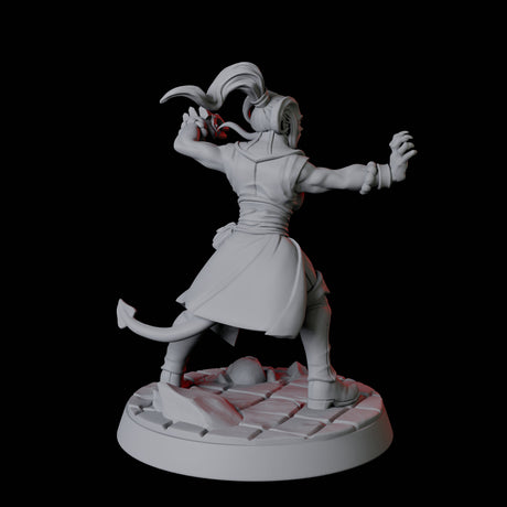Tiefling Monk F Miniature for Dungeons and Dragons, Pathfinder or other TTRPGs