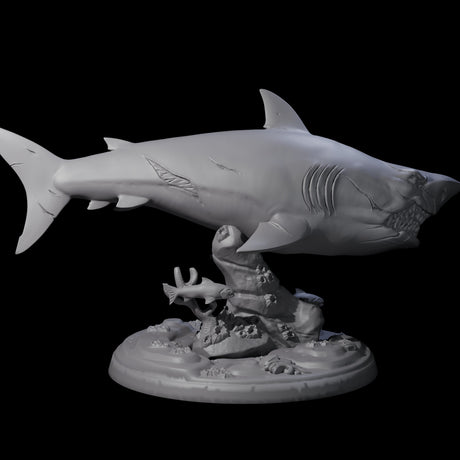 Toothy Giant Shark D Miniature for Dungeons and Dragons, Pathfinder or other TTRPGs