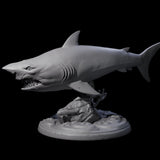 Toothy Giant Shark D Miniature for Dungeons and Dragons, Pathfinder or other TTRPGs