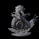 Tortle Warrior Riding Giant Snail A Miniature for Dungeons and Dragons, Pathfinder or other TTRPGs
