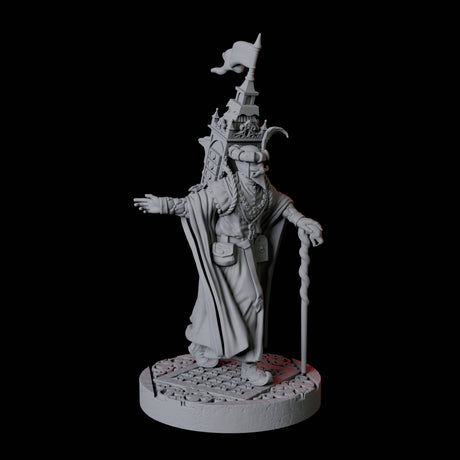 Travelling Merchant of Curios Miniature for Dungeons and Dragons, Pathfinder or other TTRPGs
