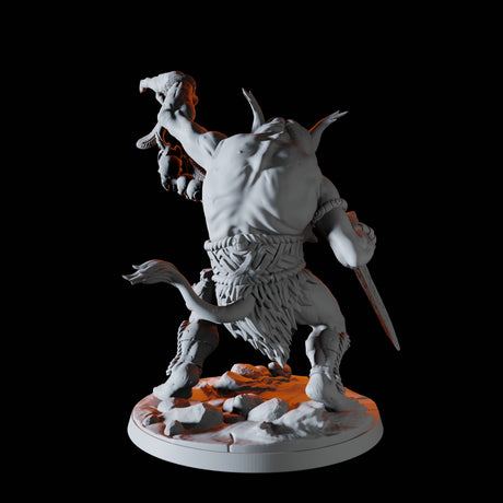 Troll Hag A Miniature for Dungeons and Dragons, Pathfinder or other TTRPGs