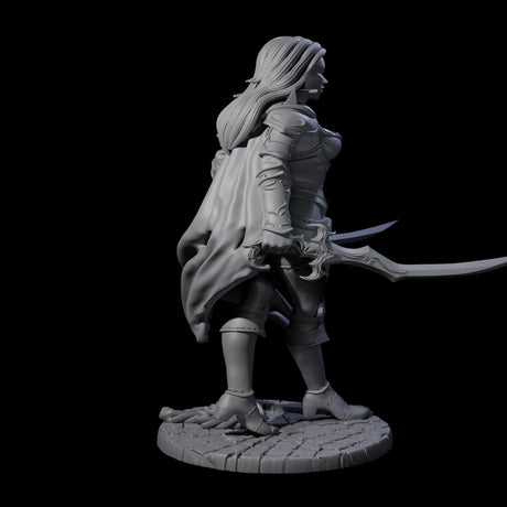 Twin Blade Rogue Miniature for Dungeons and Dragons, Pathfinder or other TTRPGs