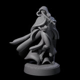 Twisted Blood Maiden A Miniature for Dungeons and Dragons, Pathfinder or other TTRPGs