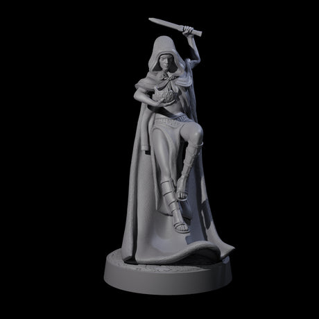 Twisted Blood Maiden B Miniature for Dungeons and Dragons, Pathfinder or other TTRPGs