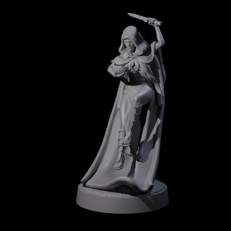 Twisted Blood Maiden B Miniature for Dungeons and Dragons, Pathfinder or other TTRPGs