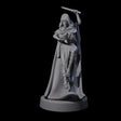 Twisted Blood Maiden B Miniature for Dungeons and Dragons, Pathfinder or other TTRPGs