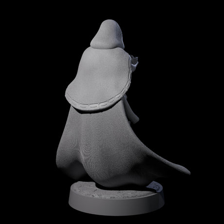 Twisted Blood Maiden C Miniature for Dungeons and Dragons, Pathfinder or other TTRPGs