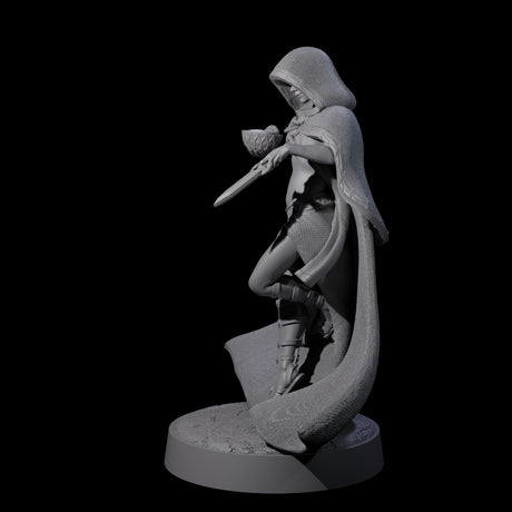 Twisted Blood Maiden C Miniature for Dungeons and Dragons, Pathfinder or other TTRPGs