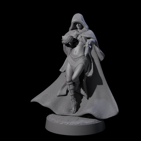 Twisted Blood Maiden C Miniature for Dungeons and Dragons, Pathfinder or other TTRPGs