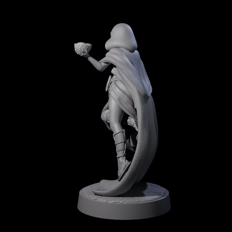 Twisted Blood Maiden D Miniature for Dungeons and Dragons, Pathfinder or other TTRPGs
