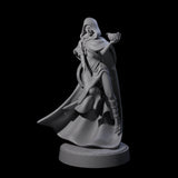 Twisted Blood Maiden D Miniature for Dungeons and Dragons, Pathfinder or other TTRPGs