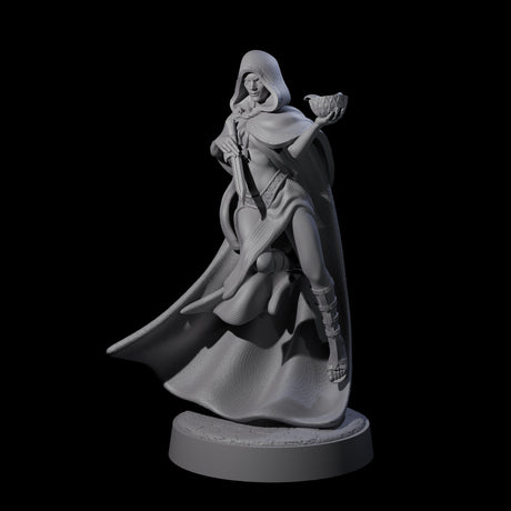 Twisted Blood Maiden D Miniature for Dungeons and Dragons, Pathfinder or other TTRPGs