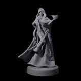 Twisted Blood Maiden D Miniature for Dungeons and Dragons, Pathfinder or other TTRPGs