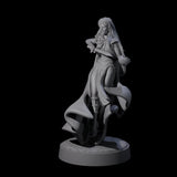 Twisted Blood Maiden E Miniature for Dungeons and Dragons, Pathfinder or other TTRPGs