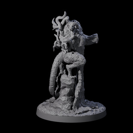 Twisted Star Spawn Seer A Miniature for Dungeons and Dragons, Pathfinder or other TTRPGs